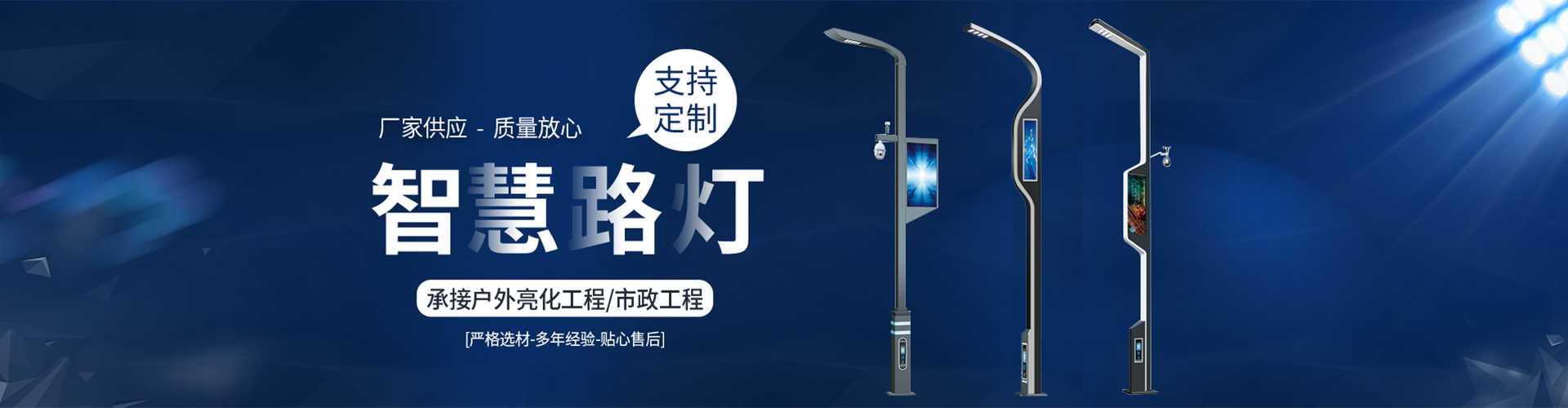 广安市太阳能路灯定制厂家