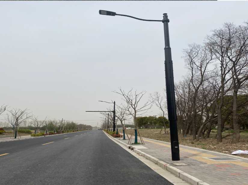 广安市上海综合杆 太阳能路灯工程